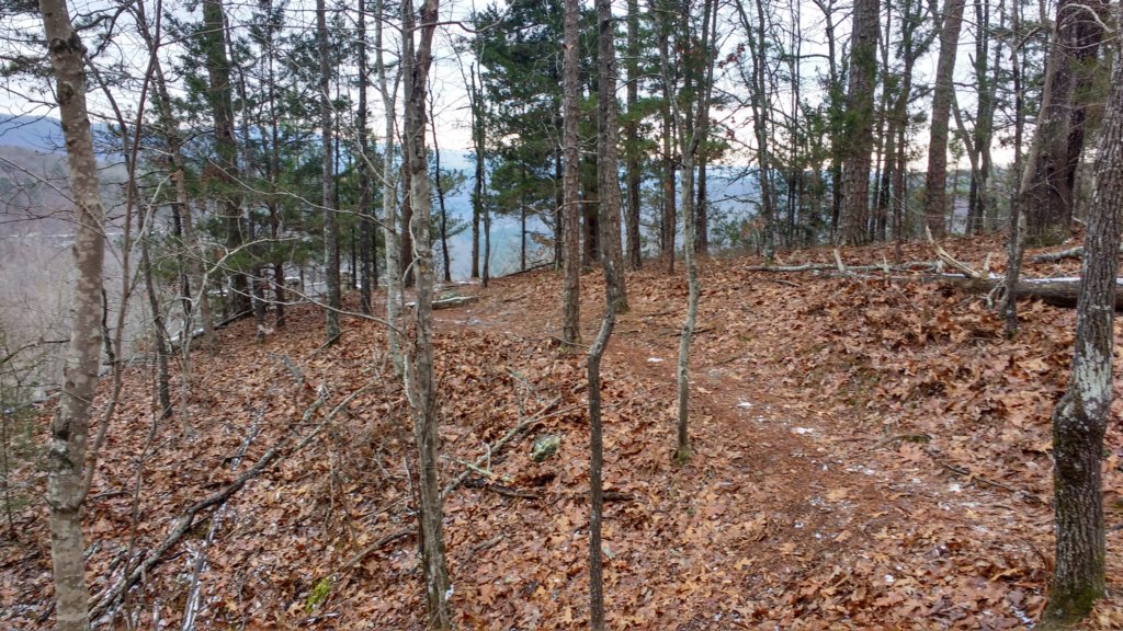 img_20180115_120206947_hdr.jpg