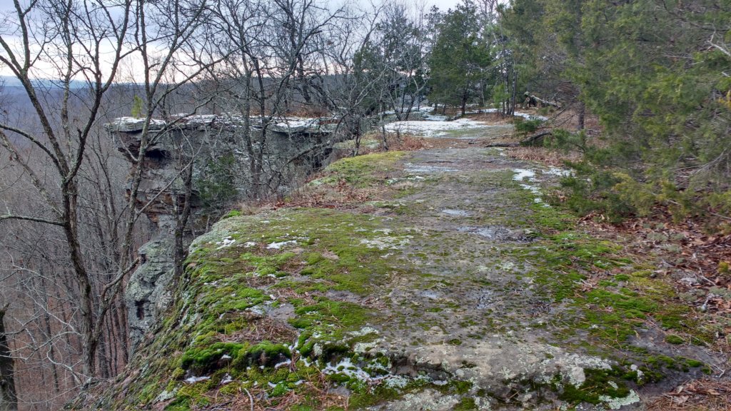 img_20180115_120747174_hdr.jpg