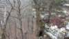 img_20180115_120950153_small.jpg