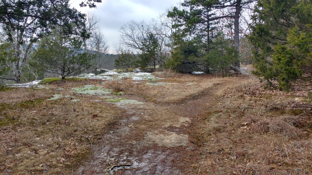img_20180115_121302505_hdr.jpg