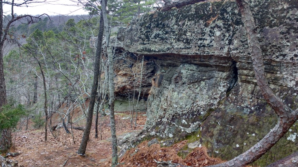 img_20180115_121658537_hdr.jpg