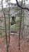 img_20180115_122058270_small.jpg