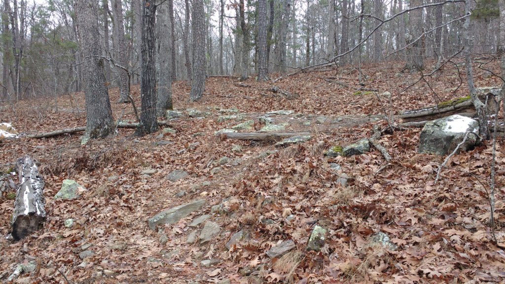 img_20180115_123127824.jpg