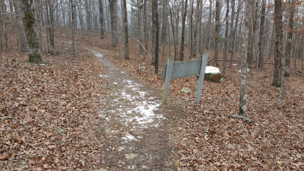 img_20180115_123655373.jpg