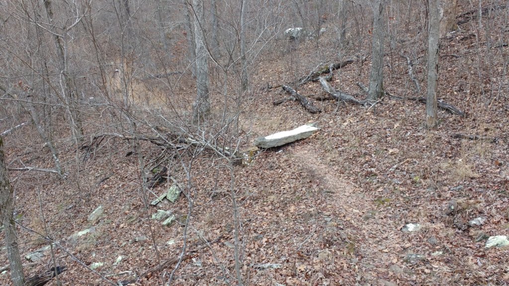 img_20180115_125622173.jpg