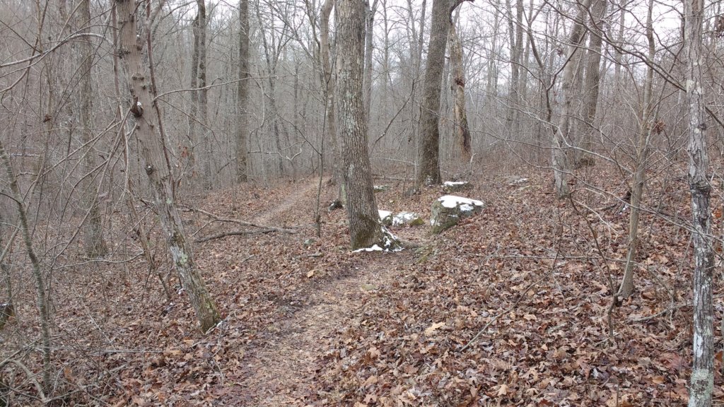 img_20180115_125811984.jpg