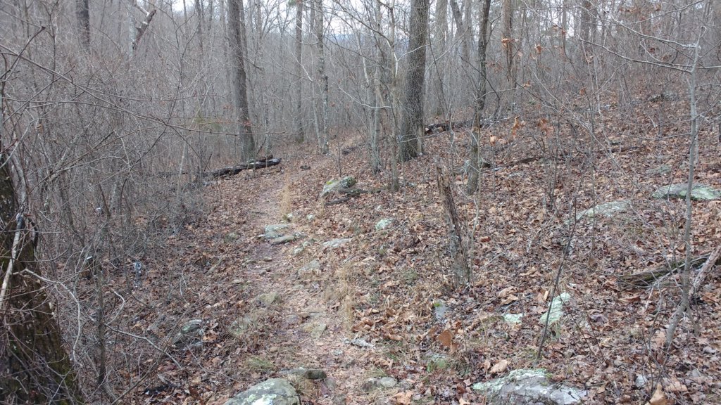 img_20180115_130111429.jpg