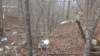 img_20180115_130329090_small.jpg