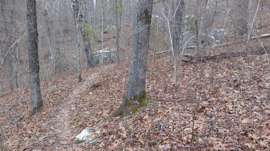 img_20180115_130434075.jpg