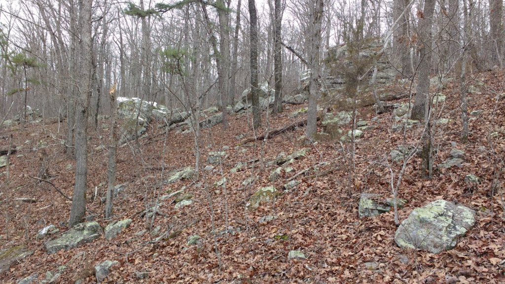 img_20180115_130513064.jpg
