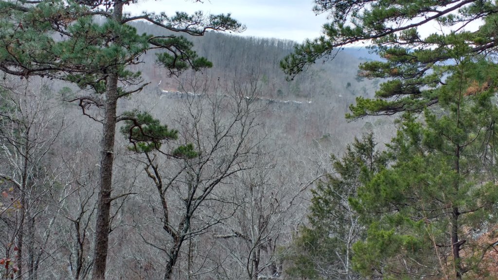 img_20180115_130704573_hdr.jpg