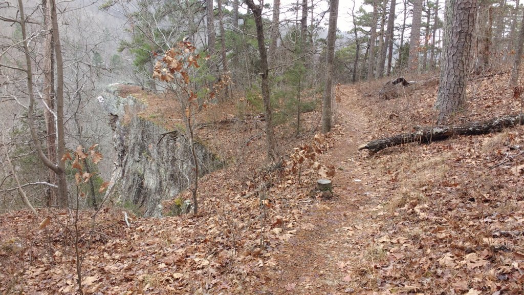img_20180115_131033150.jpg