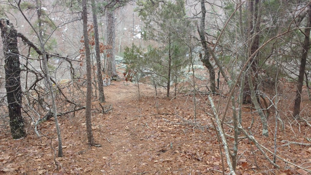img_20180115_131056861.jpg