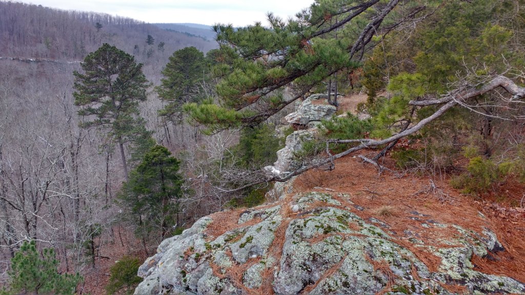 img_20180115_131149826_hdr.jpg