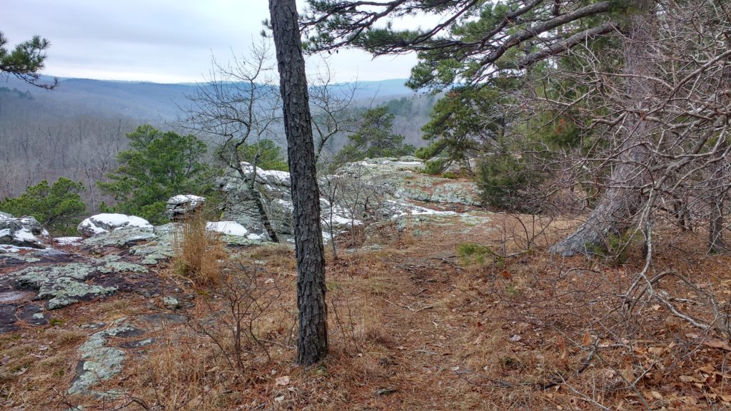 img_20180115_131832609_hdr.jpg