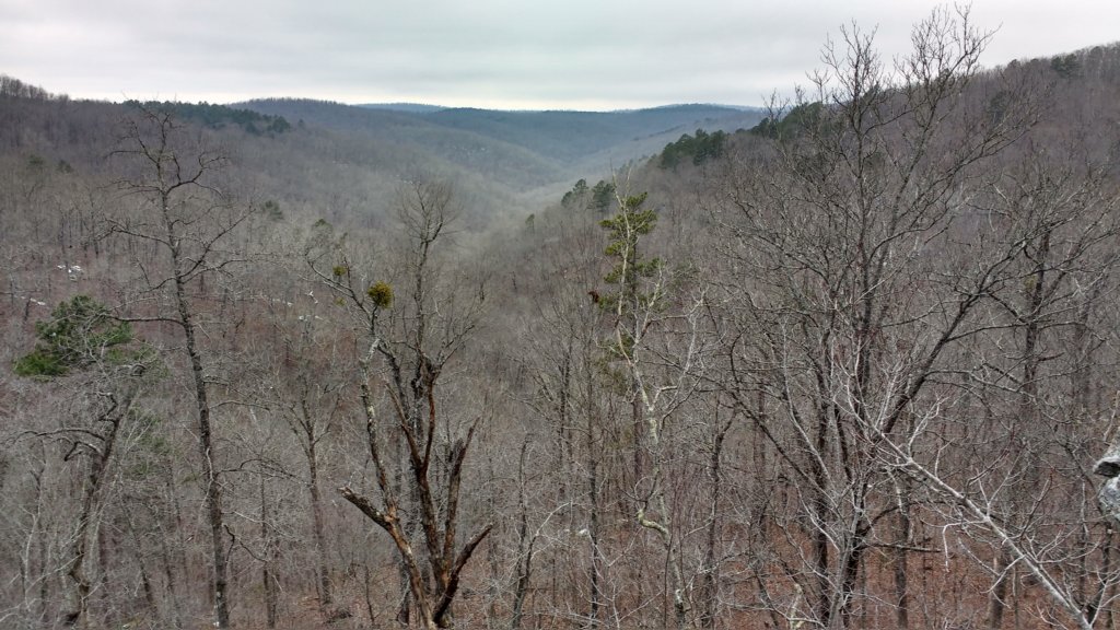 img_20180115_133007900_hdr.jpg