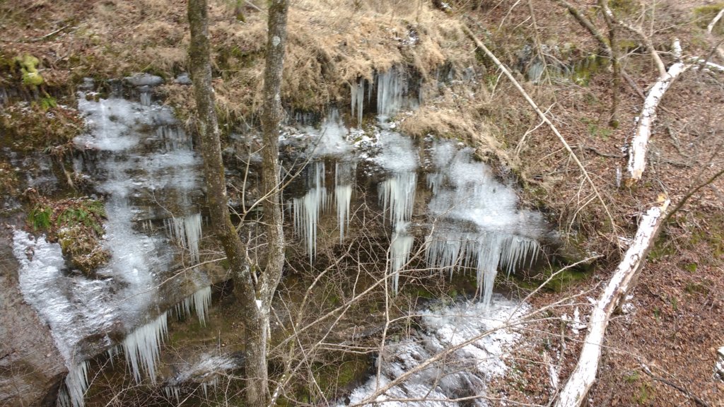 img_20180115_134742794.jpg