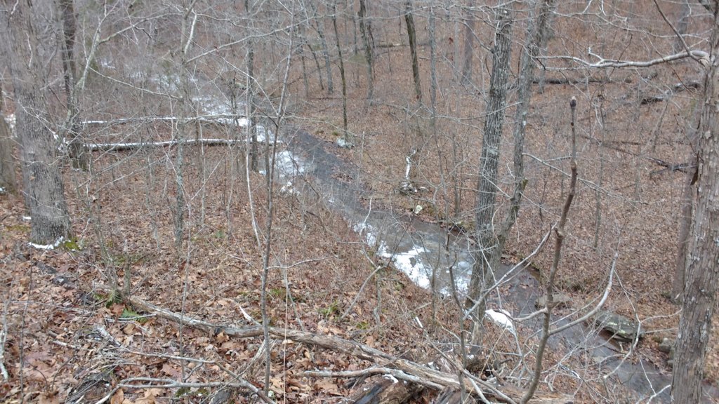img_20180115_135539029.jpg