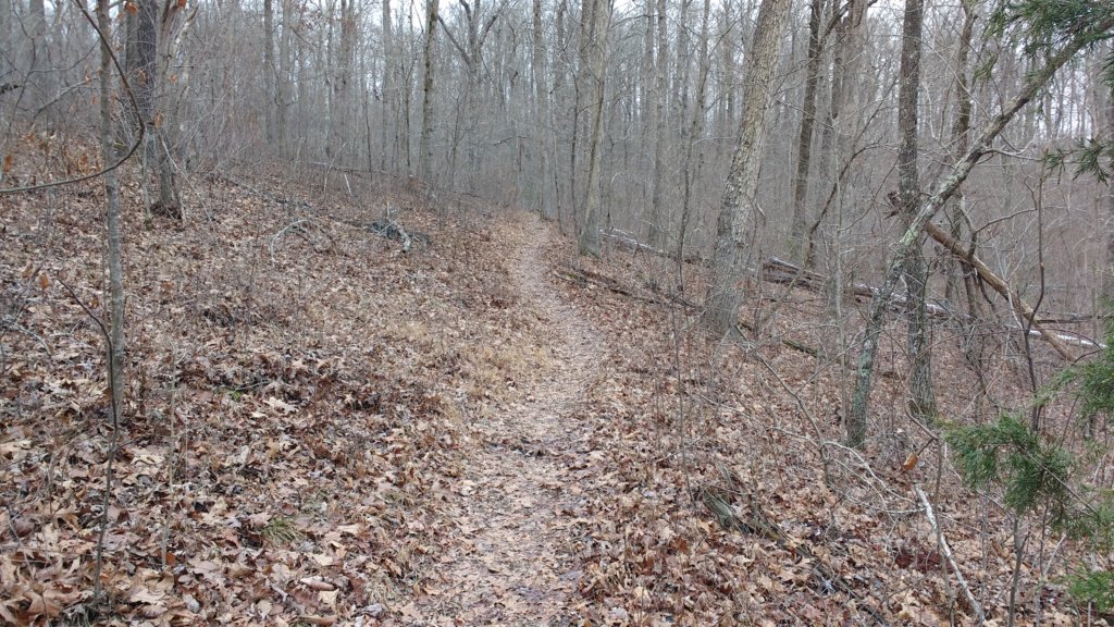 img_20180115_135825889.jpg