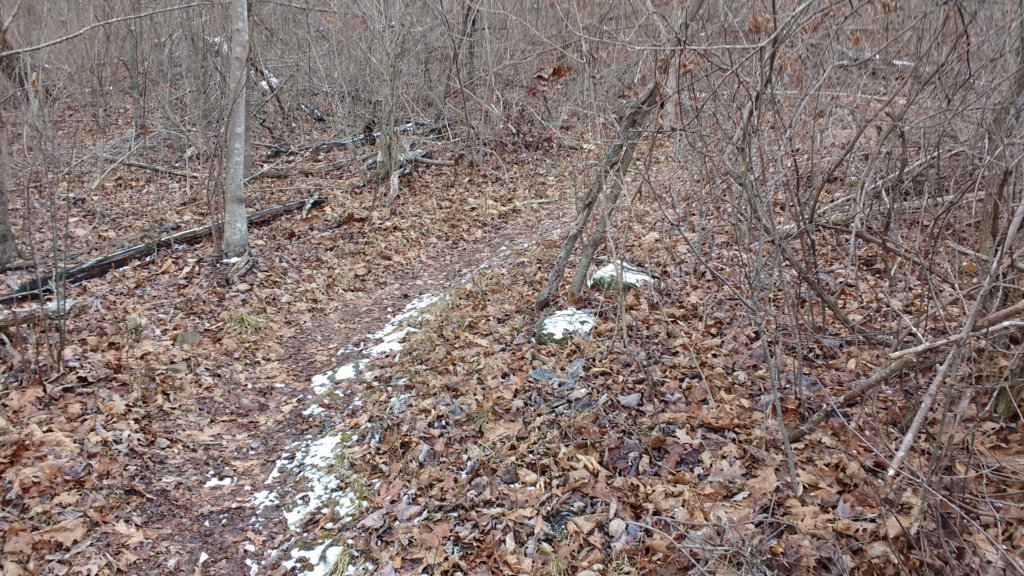 img_20180115_140445392.jpg