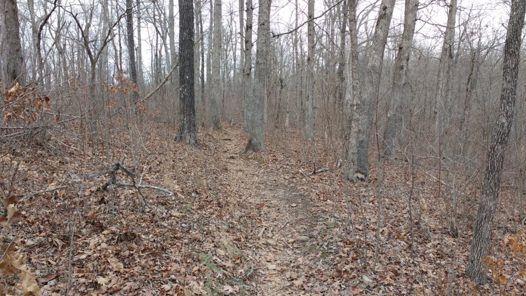 img_20180115_140751715.jpg