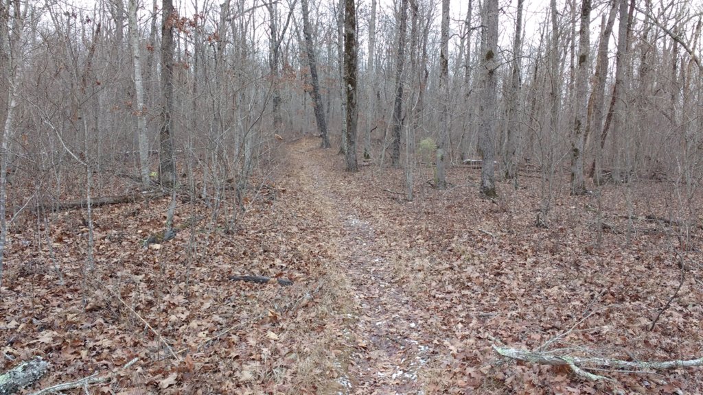 img_20180115_140952166.jpg