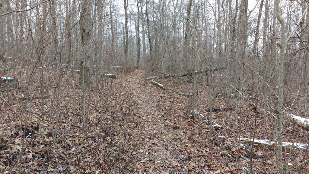 img_20180115_141656949.jpg