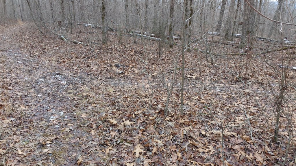 img_20180115_141743288.jpg