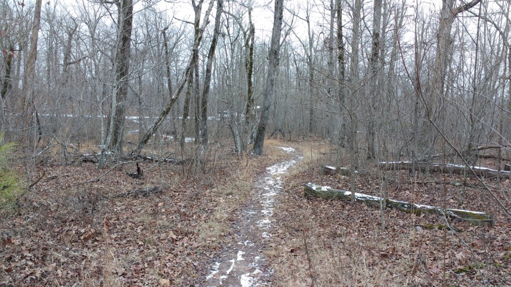 img_20180115_141952608.jpg
