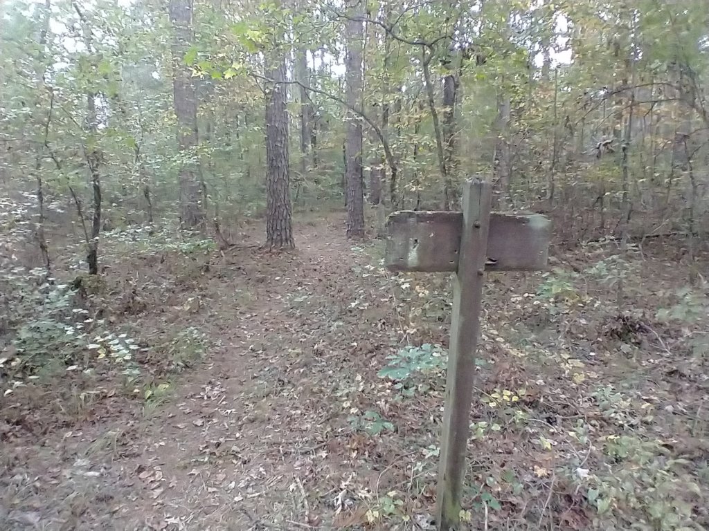 img_20201012_100306133.jpg