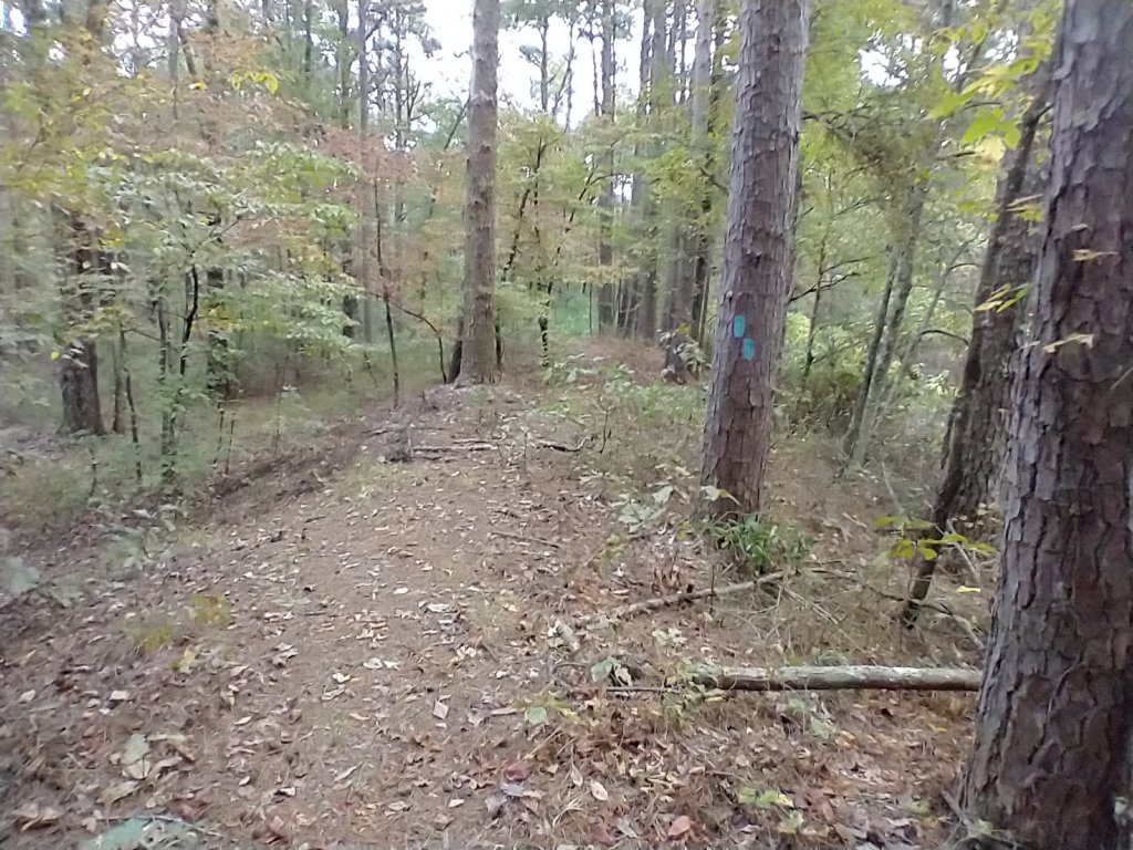 img_20201012_100603990.jpg