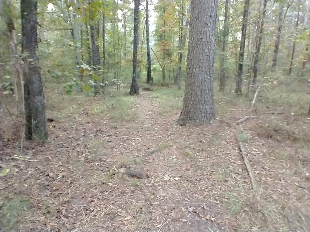 img_20201012_100636791.jpg
