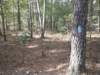 img_20201012_101533224_small.jpg