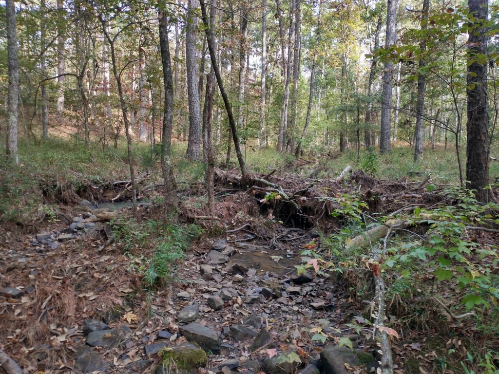 img_20201012_102020318_hdr.jpg