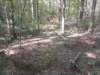 img_20201012_102947132_small.jpg