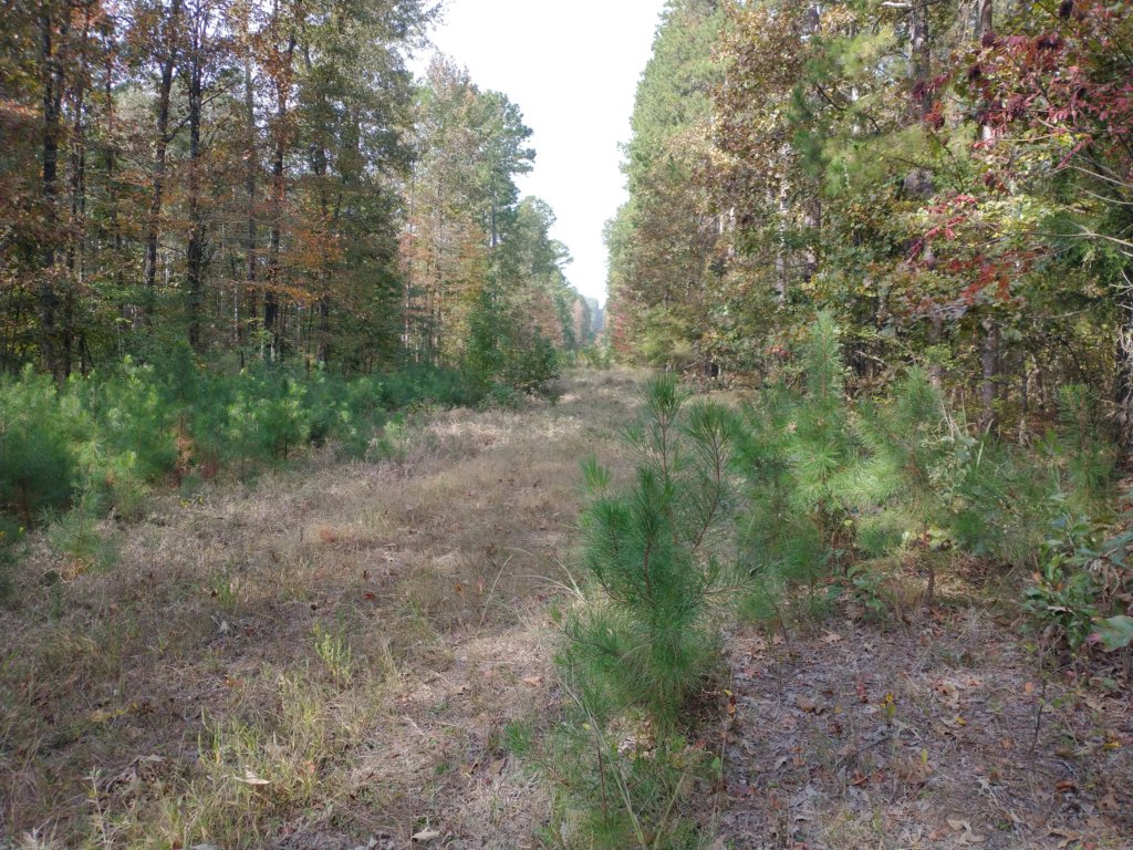 img_20201012_103319395.jpg
