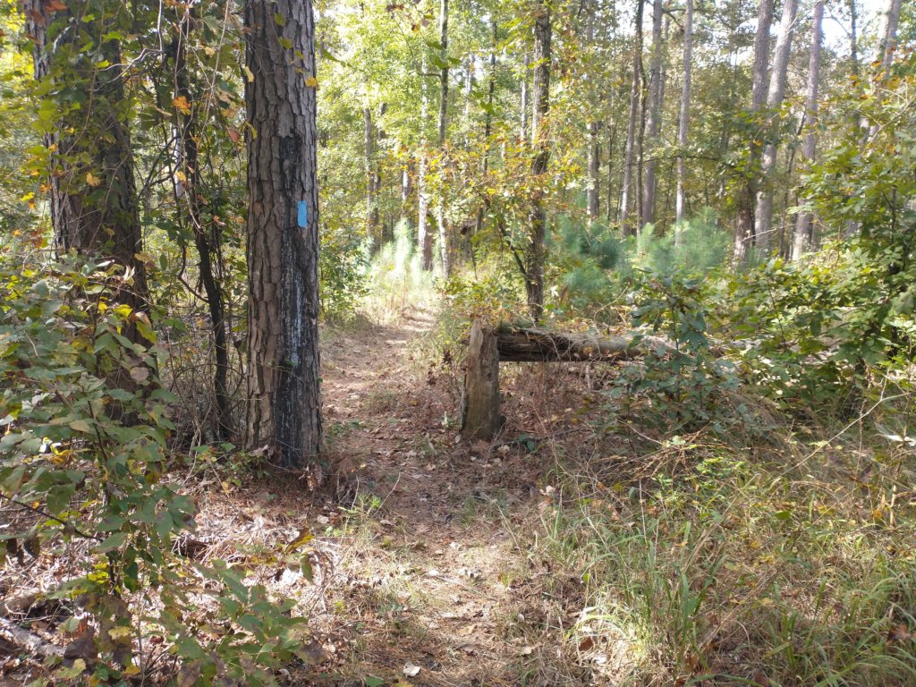 img_20201012_103658295.jpg