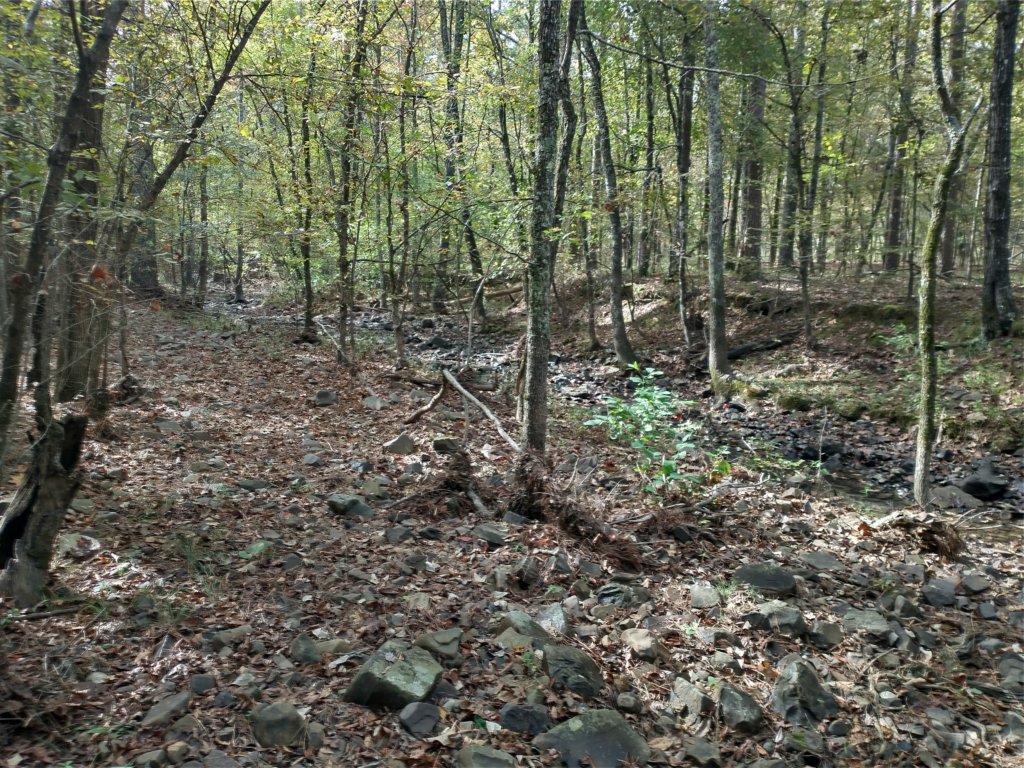 img_20201012_103908965_hdr.jpg