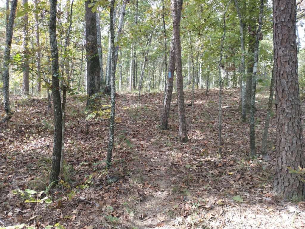 img_20201012_104120918.jpg