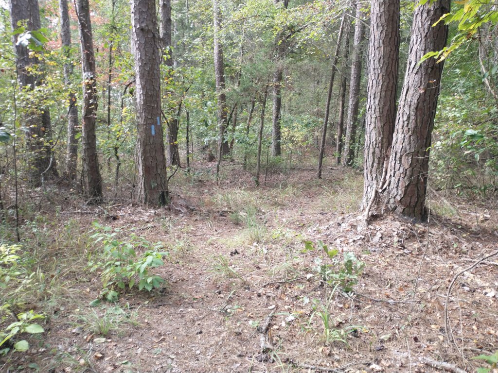 img_20201012_111733739.jpg