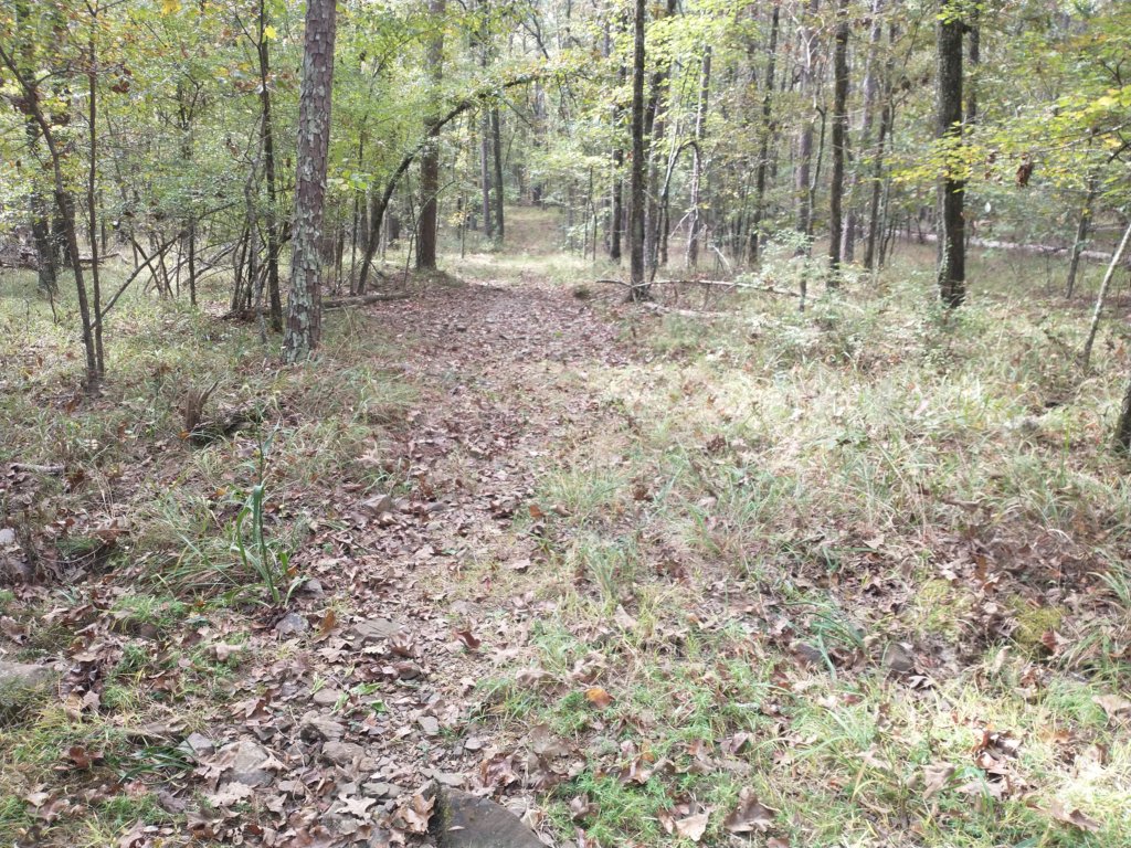 img_20201012_113036414.jpg