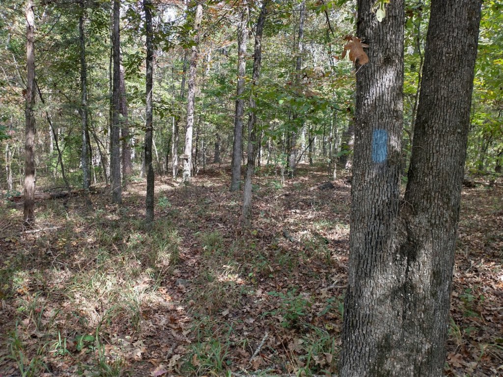 img_20201012_114258099_hdr.jpg