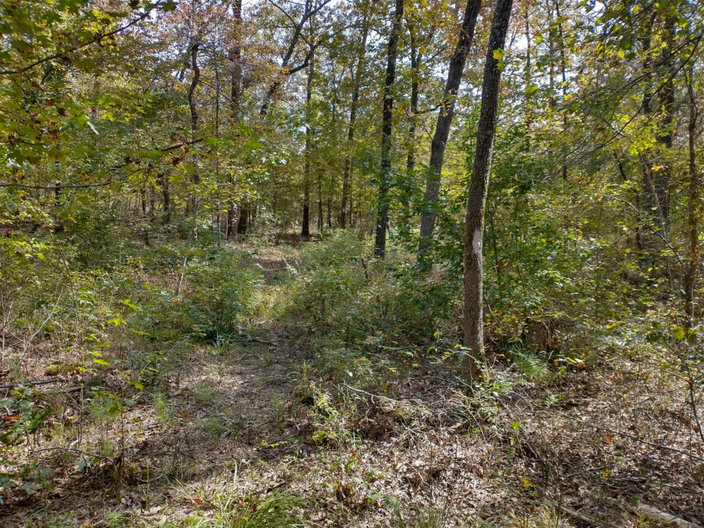 img_20201012_115127554_hdr.jpg