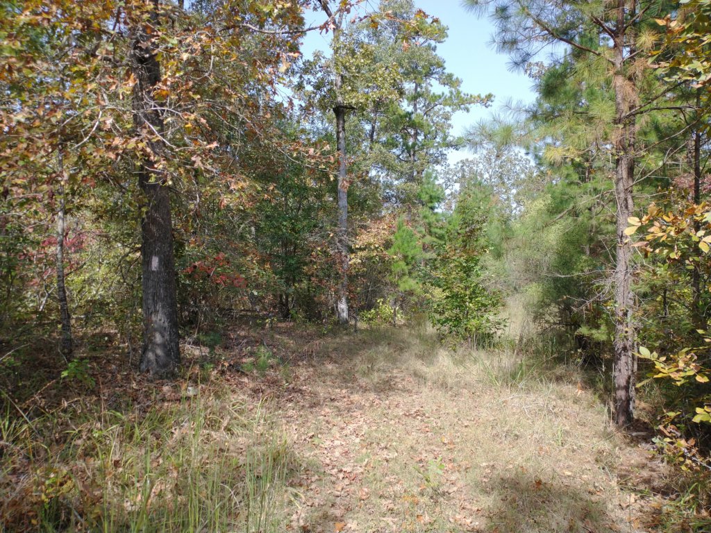 img_20201012_115522913.jpg