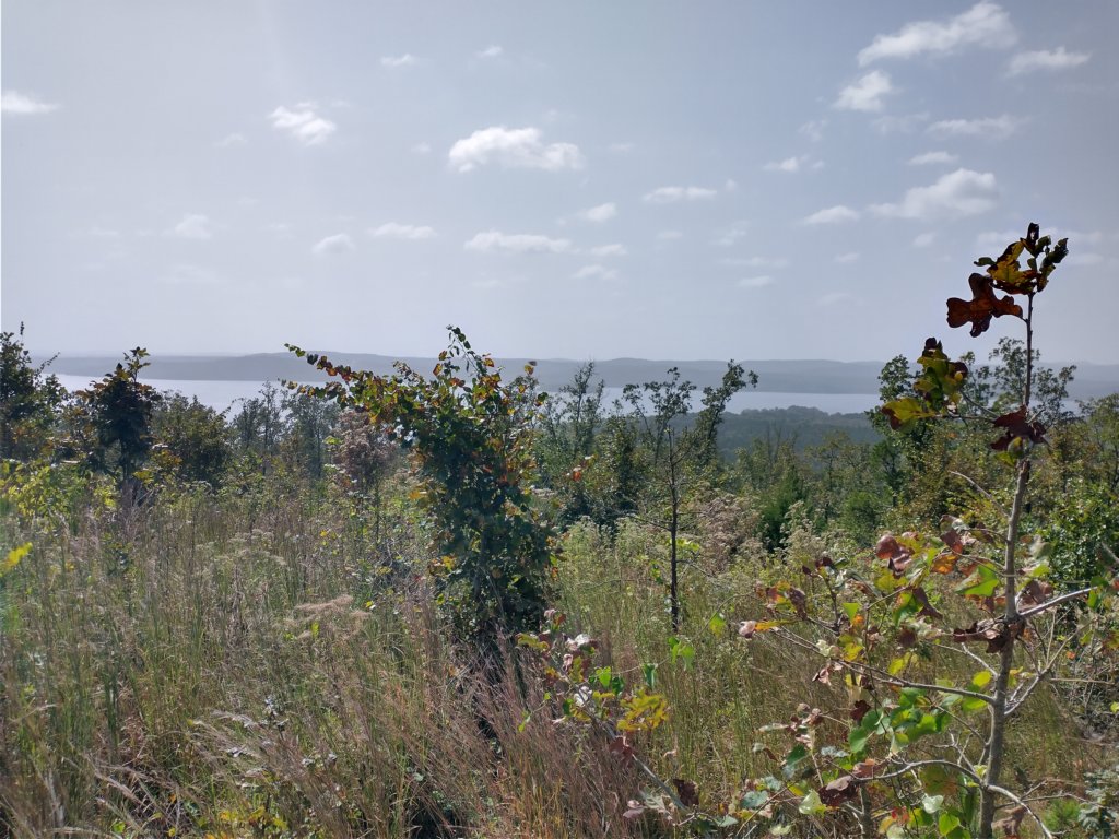 img_20201012_121131567_hdr.jpg