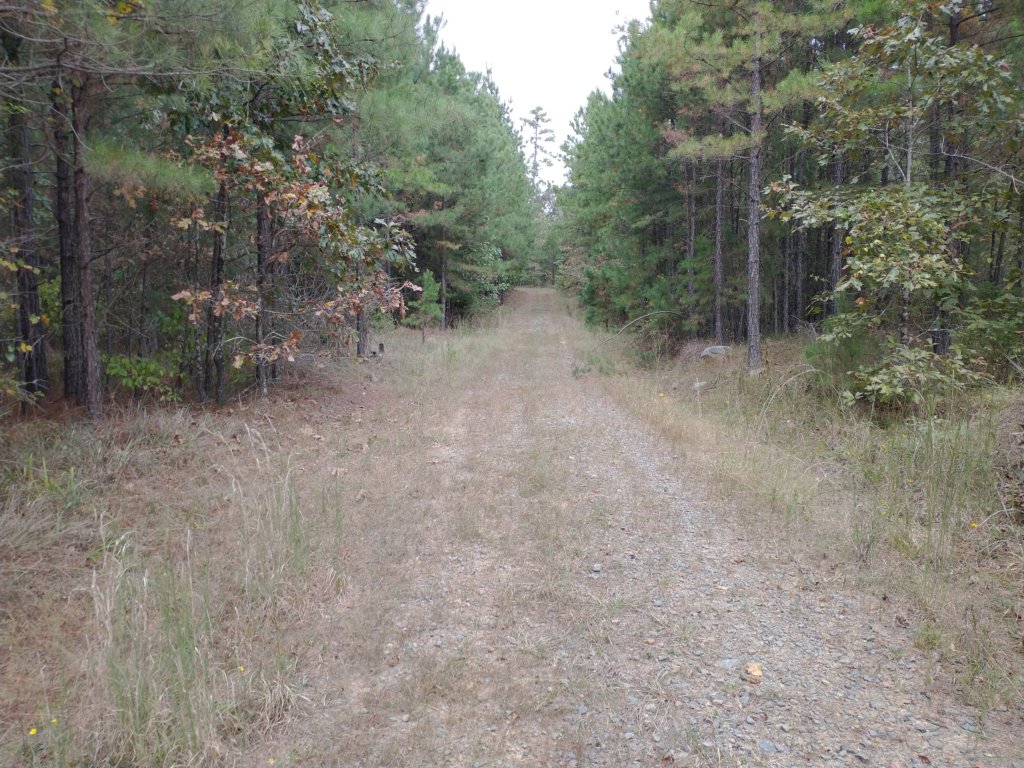 img_20201012_123205888.jpg
