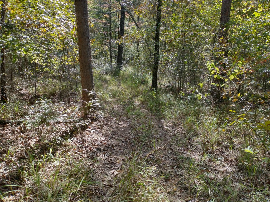 img_20201012_130130253_hdr.jpg