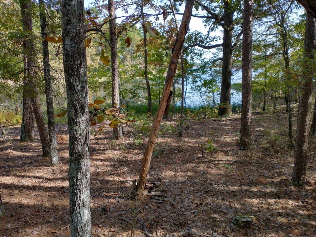 img_20201012_132341583_hdr.jpg