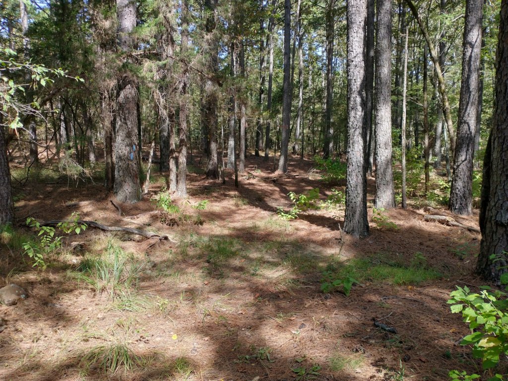img_20201012_134524950_hdr.jpg