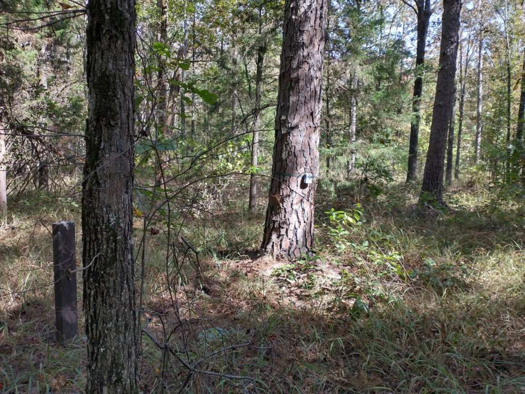 img_20201012_140039079_hdr.jpg